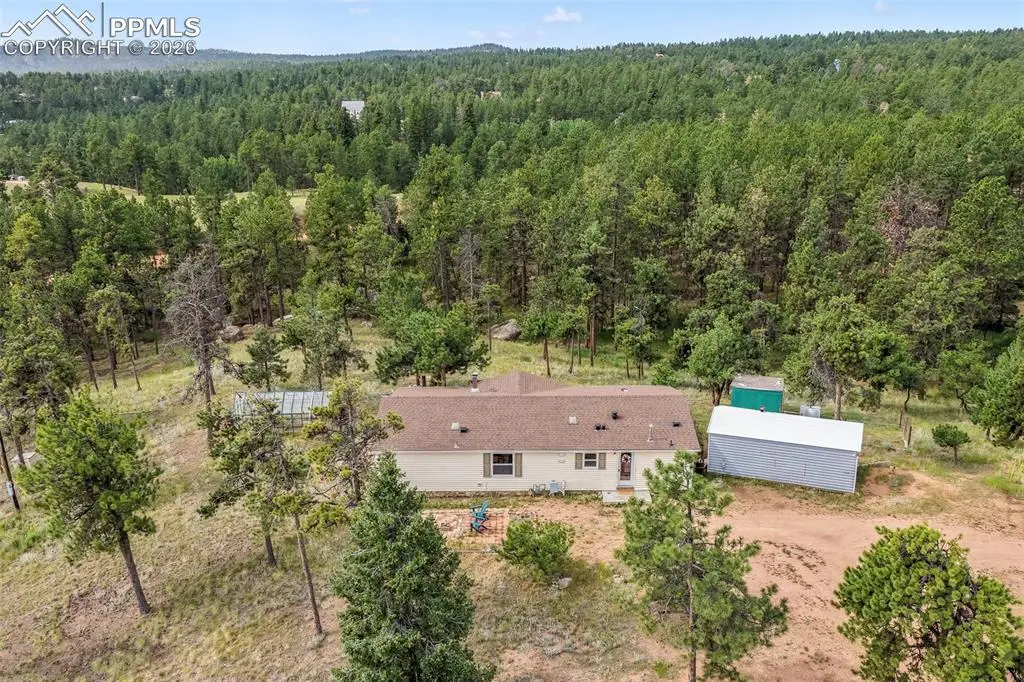 696 Calle De La Nieva Na, Florissant, CO 80816 - #1