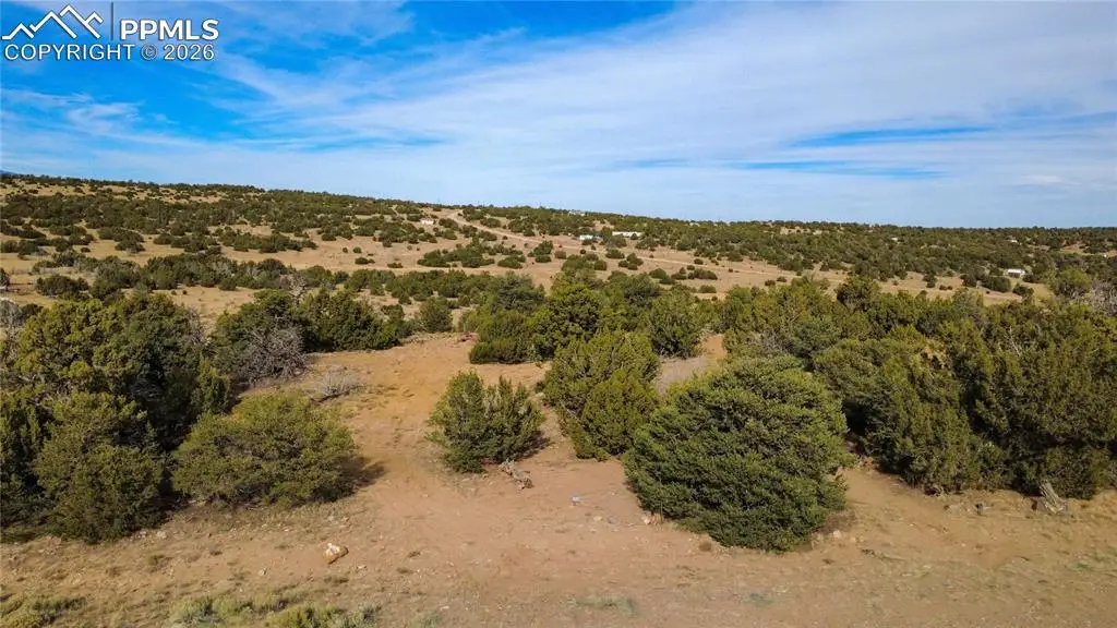 617/618 Pico Del Questa, Walsenburg, CO 81089 - #1