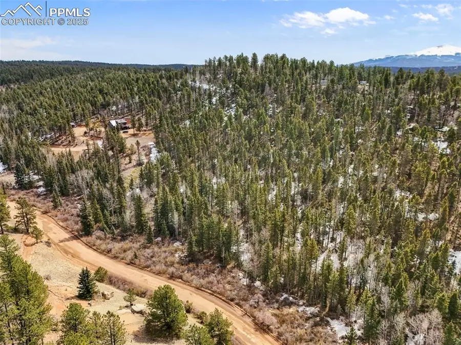 464 E Bison Creek Trail, Florissant, CO 80816 - #3