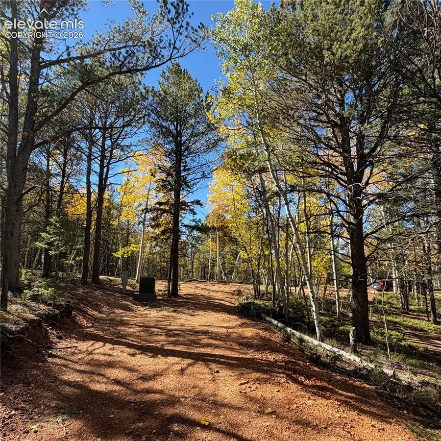 800 Timber Ridge Road, Divide, CO 80814 - #3