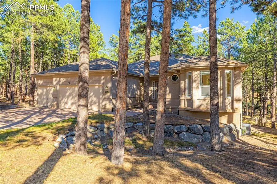 1669 Goldpeak Court, Colorado Springs, CO 80921 - #2