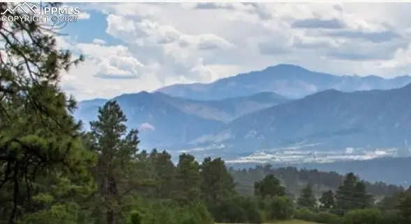 17147 Copper Valley Court, Monument, CO 80132 - Image #3