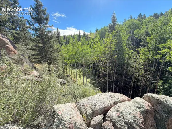 3300-3278 N Mountain Estates Road, Florissant, CO 80816