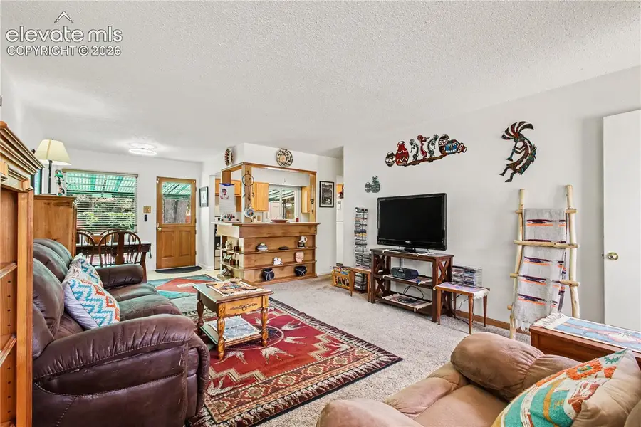 303 Elmwood Drive, Colorado Springs, CO 80907 - #3