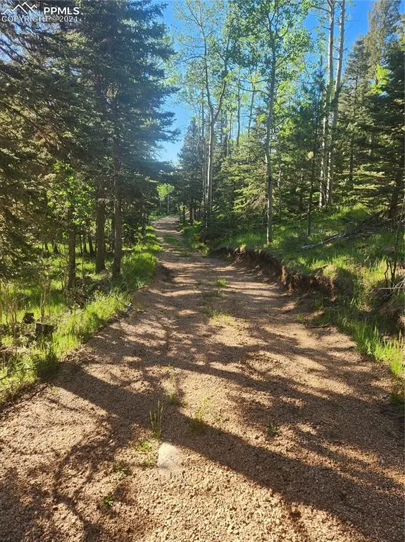 6699 Eagle Mountain Road, Manitou Springs, CO 80829 - Image #3