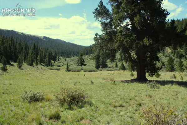 3956 Fs 659 Road, Fairplay, CO 80440