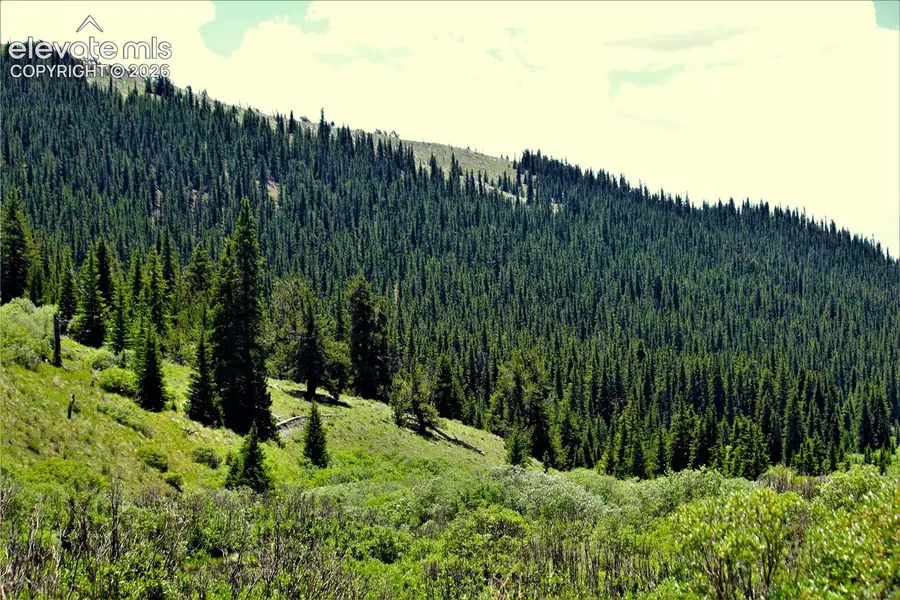 3956 Fs 659 Road, Fairplay, CO 80440 - #3