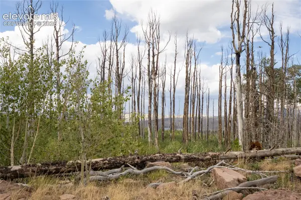 Lot 1947 Hilda Lane, Fort Garland, CO 81133