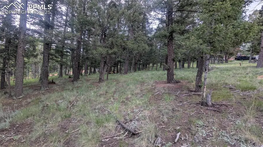 924 Will Scarlet Drive, Divide, CO 80814 - Image #3