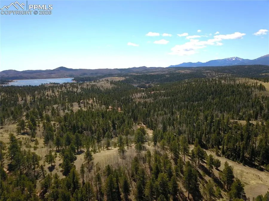 Schubarth Trail, Woodland Park, CO 80863 - #2