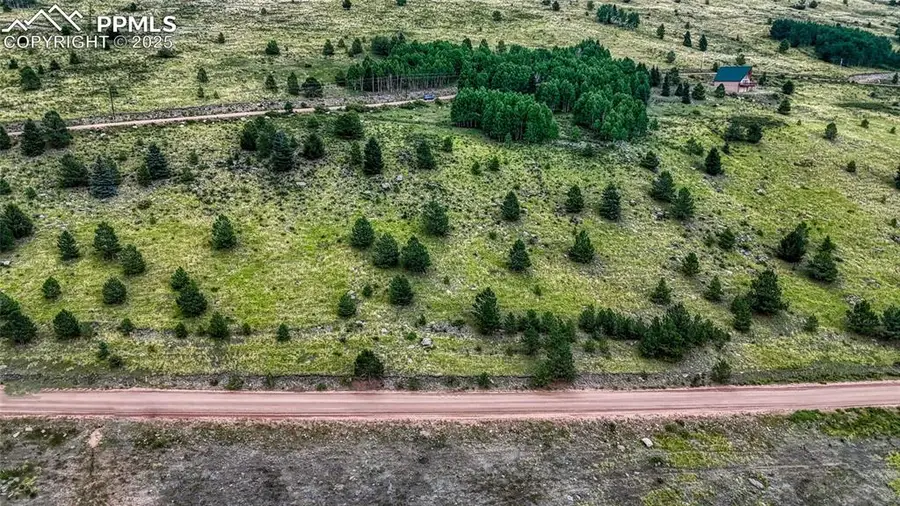 972 Anges Drive, Cripple Creek, CO 80813 - #2