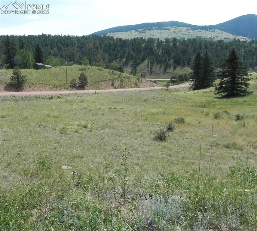 53 Nickel Plate Road, Cripple Creek, CO 80813 - Image #1