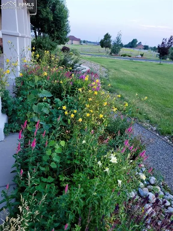 16815 Papago Way, Colorado Springs, CO 80908 - Image #3