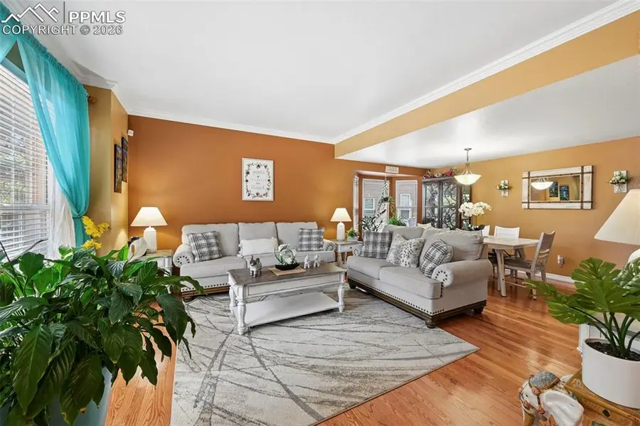 5557 Wyatt Earp Way, Colorado Springs, CO 80923 - #2