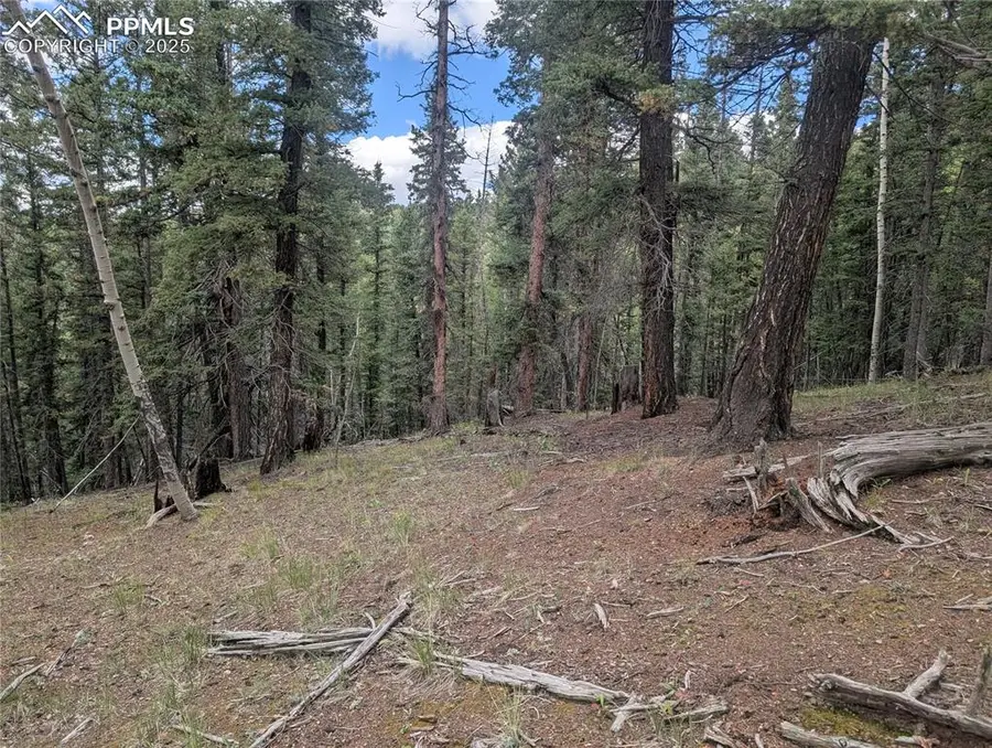 2455 Yorktown Road, Cripple Creek, CO 80813 - #3