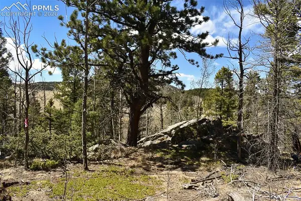 289 Timberline Drive, Guffey, CO 80820