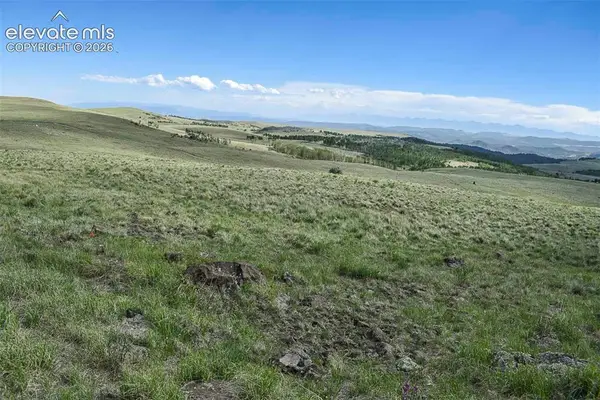 00 Bear Cat Road, Guffey, CO 80820