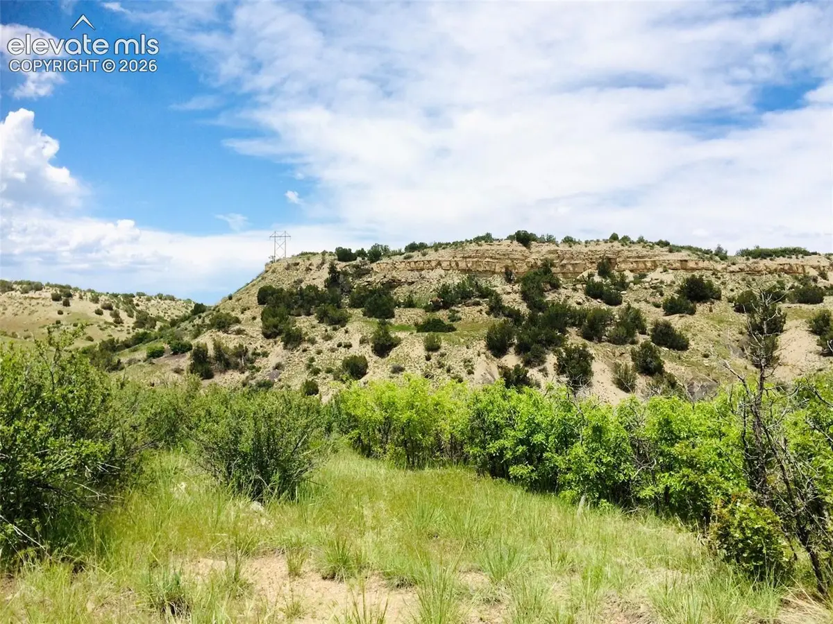 TBD Pickney Road, Rye, CO 81069 - #1
