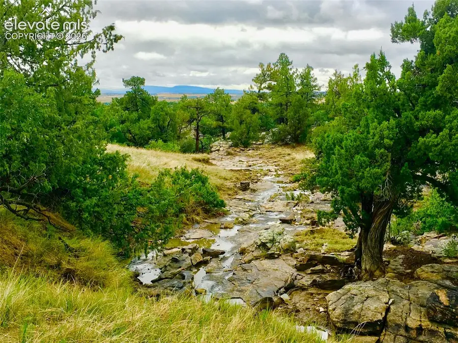 TBD Pickney Road, Rye, CO 81069 - #2