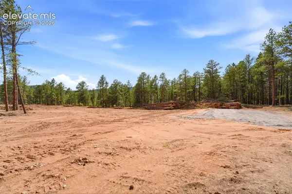205 Sourdough Road, Woodland Park, CO 80863