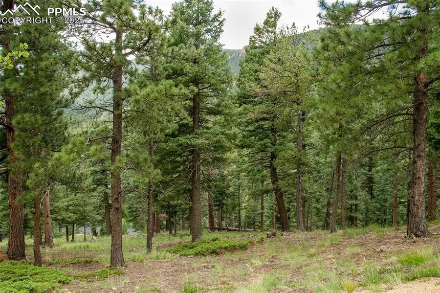 266 Aspen Ridge Road, Manitou Springs, CO 80829 - Image #3