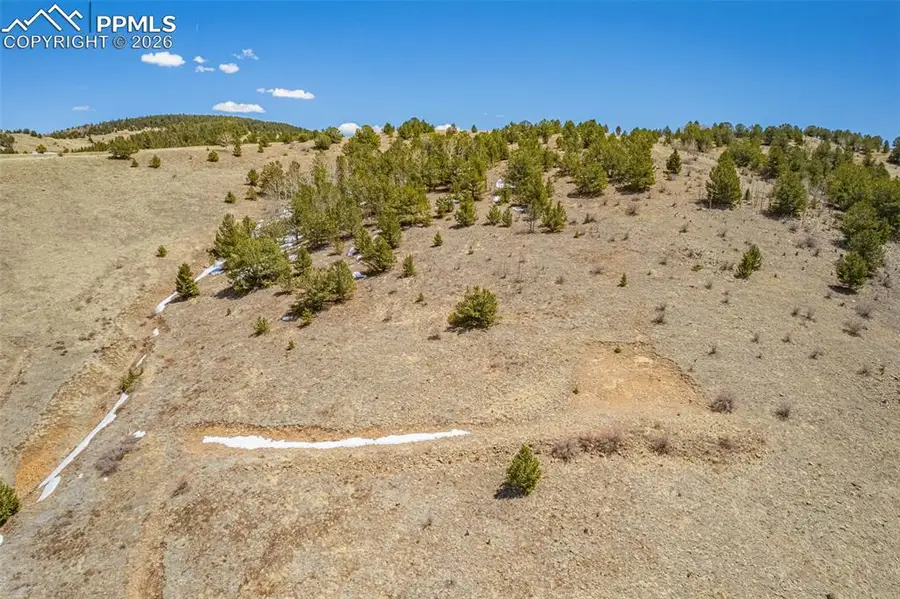 1538 County Road 1, Cripple Creek, CO 80813 - #3