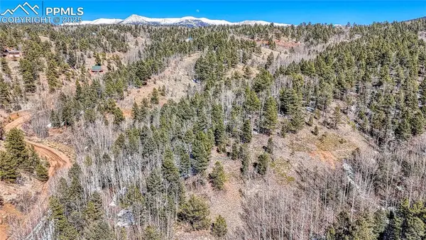542 Vivenda Road, Cripple Creek, CO 80813