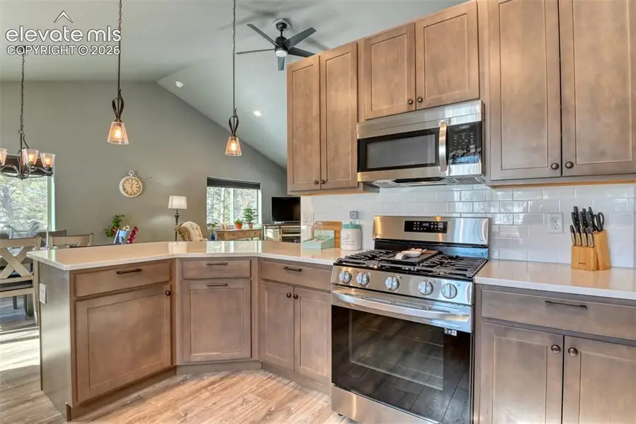 24 Big Horn Circle, Florissant, CO 80816 - #2