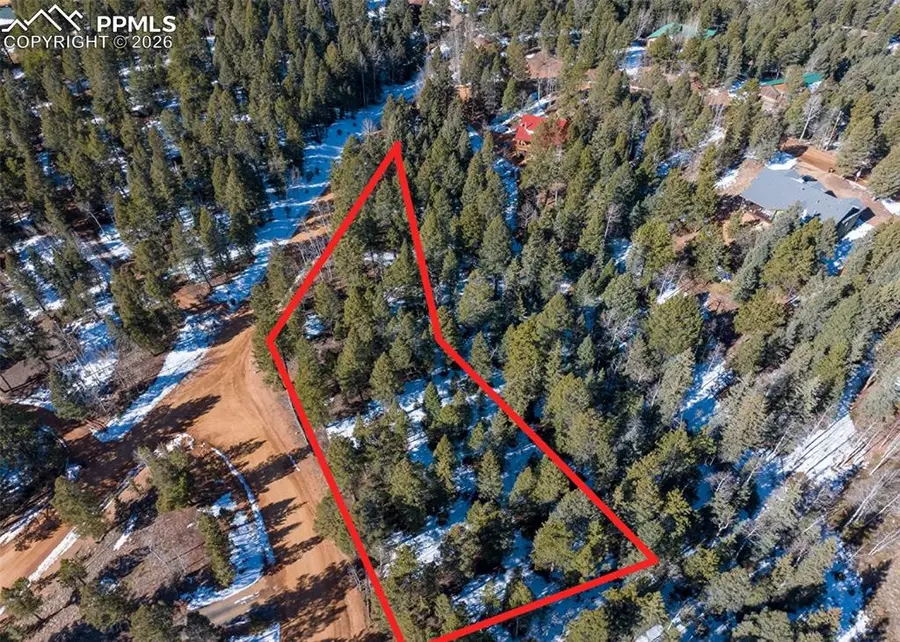 810 Ridge Road, Divide, CO 80814 - #3