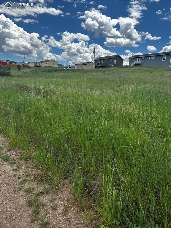 1298 Will Scarlet Drive, Divide, CO 80814 - Image #2