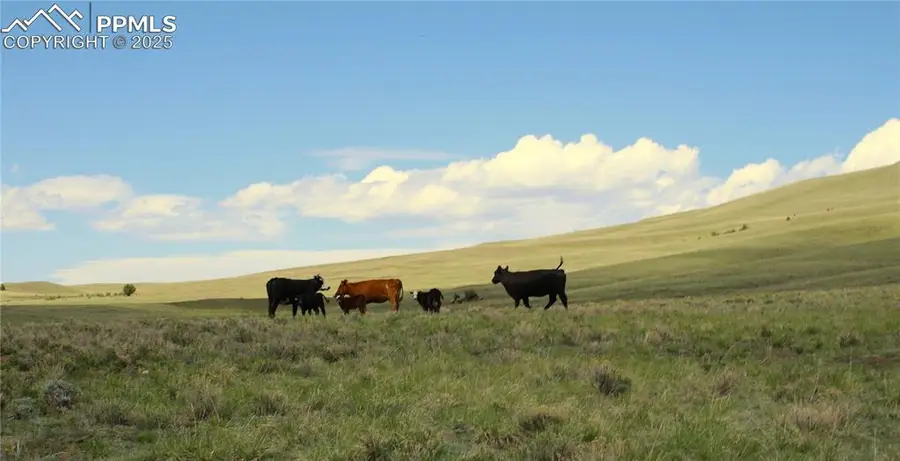 Highway 9, Guffey, CO 80820 - #3