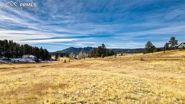150 High Pasture Road, Florissant, CO 80816