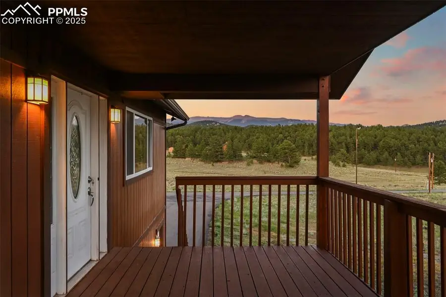 115 White Tail Lane, Florissant, CO 80816 - #3