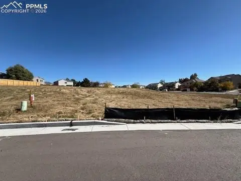 6817 Adamo Court, Colorado Springs, CO 80923 - #2