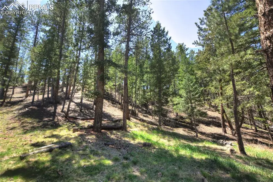 1210 Cottontail Trail, Woodland Park, CO 80863 - Image #3