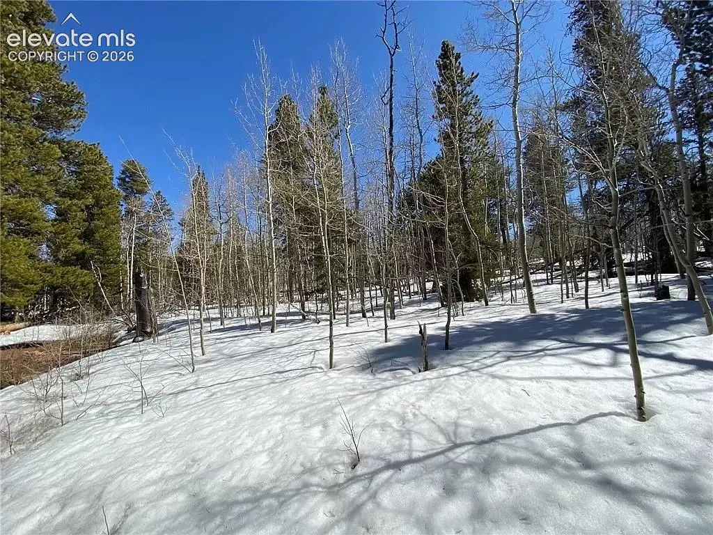 2202 High Creek Road, Fairplay, CO 80440 - #1