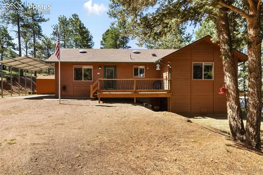234 Wasatch Lane, Florissant, CO 80816 - #3