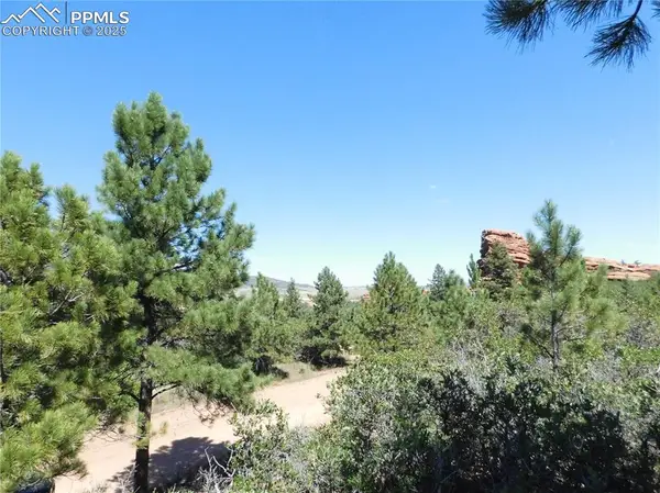 Lot 4 Thunderbird Road, Larkspur, CO 80118