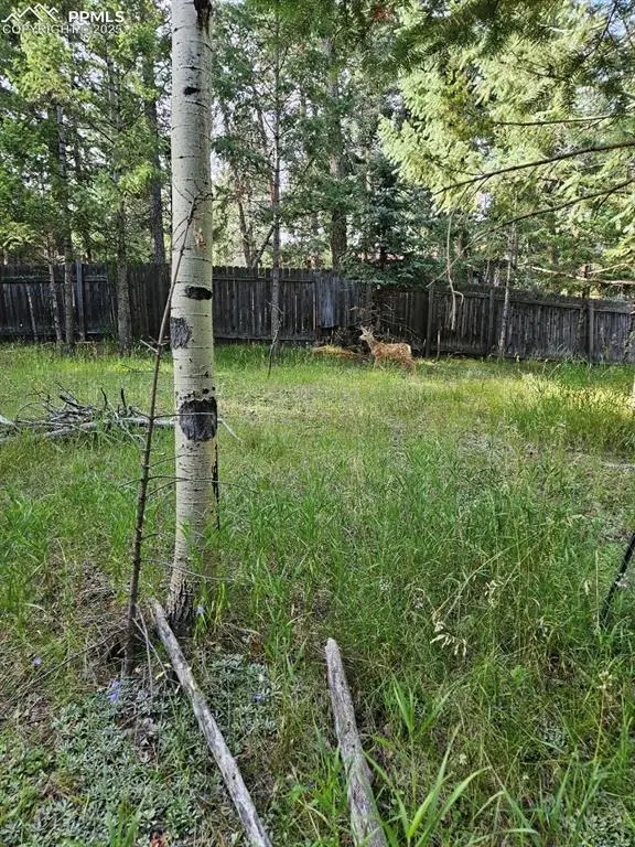 TBD Rolling Park Drive, Woodland Park, CO 80863 - Image #3