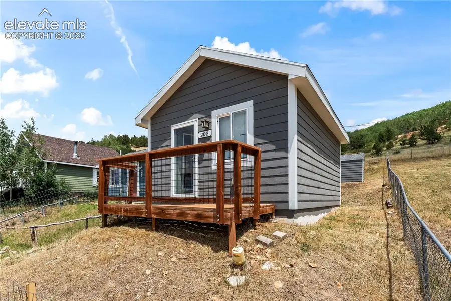 202 Silver Street, Cripple Creek, CO 80813 - #3