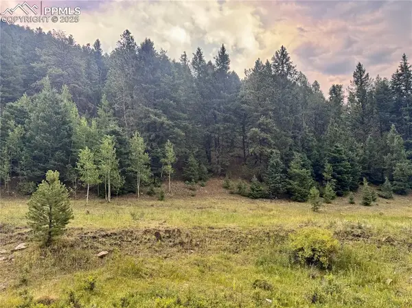 278 Penrose Circle, Cripple Creek, CO 80816