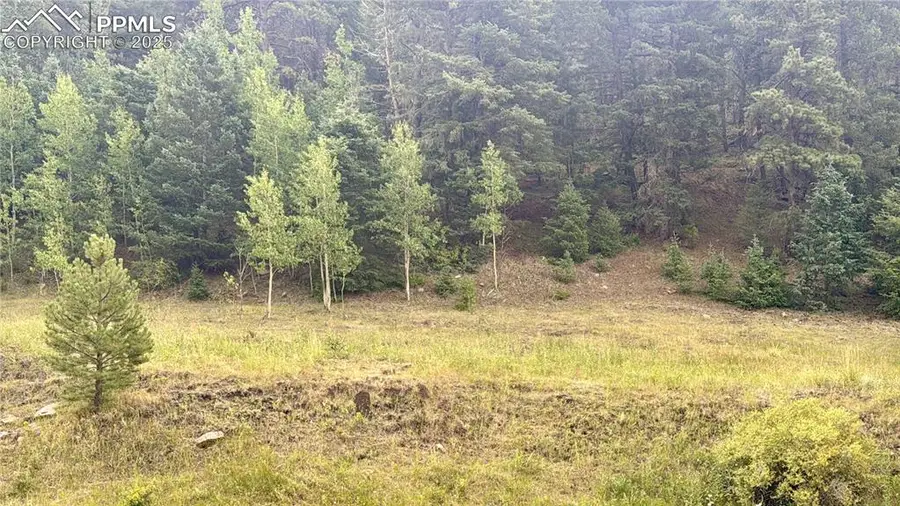 278 Penrose Circle, Cripple Creek, CO 80816 - Image #2