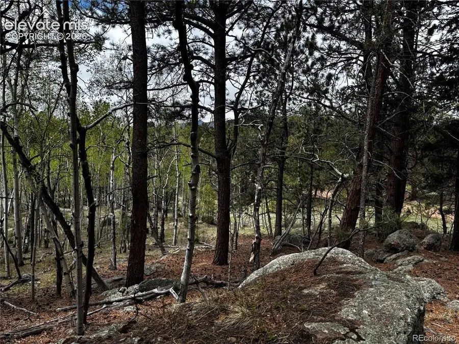 210 Crescent Drive, Florissant, CO 80816 - #2