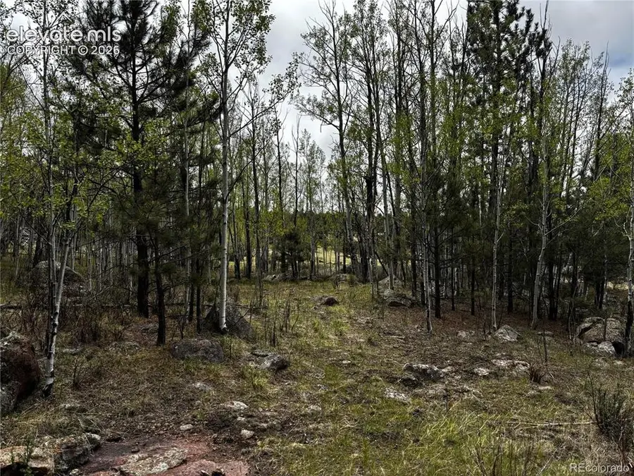 210 Crescent Drive, Florissant, CO 80816 - #3