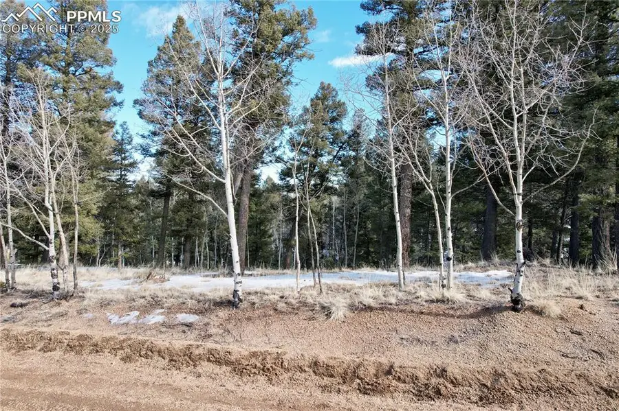 278 Cherry Lake Drive, Divide, CO 80814 - Image #2