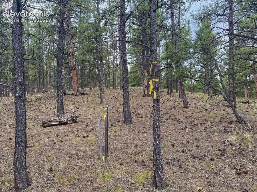 60 Pickens Road, Florissant, CO 80816 - #3