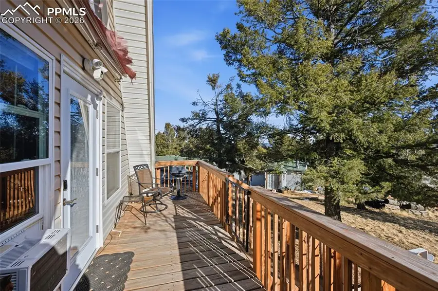 169 Evergreen Road, Woodland Park, CO 80863 - #3