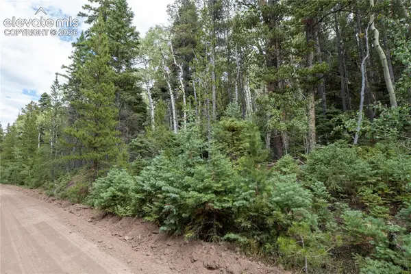Lot 2238 Buonaventura Lane, Fort Garland, CO 81133