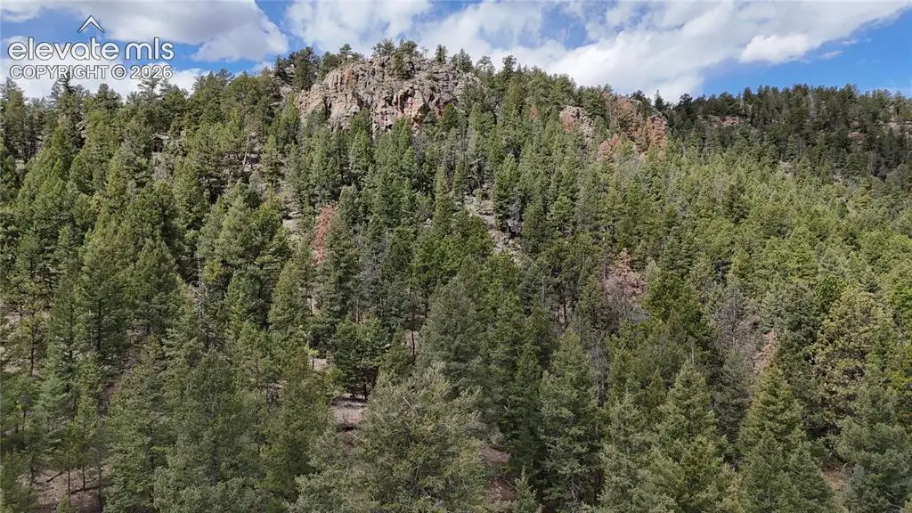 4943 County Road 11, Florissant, CO 80816 - #1