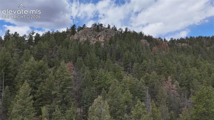 4943 County Road 11, Florissant, CO 80816 - #2